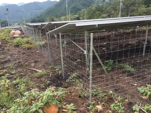 ロールフェンス写真